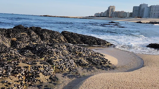 Praia de Aver-o-Mar in Póvoa de, Norte — photo 4 of 6