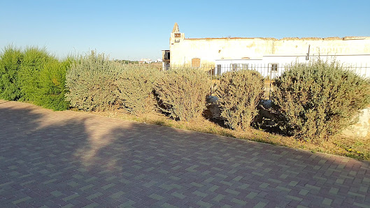 BARIA in Faro, Algarve — photo 4 of 9