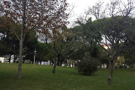 Jardim Amália Rodrigues in Lisboa, Centro — photo 8 of 9