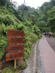 Centro de Interpretação Ambiental da Caldeira Velha in Lagoa, Centro — photo 5 of 7