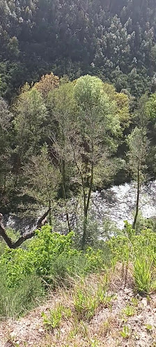 Praia Fluvial de Serrazes in Algarve, Norte — photo 4 of 4