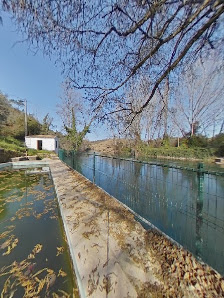 Praia Fluvial da Fonte do Caldeirão in Algarve, Centro — photo 6 of 6