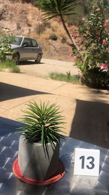 Restaurante Ourique in Silves, Algarve — photo 4 of 10