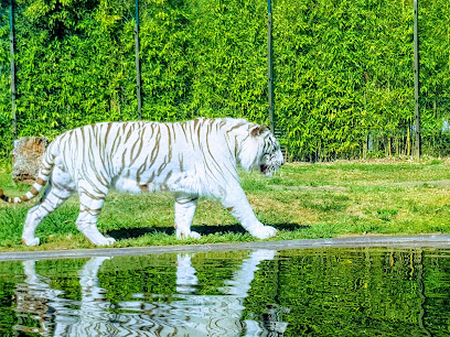 Maia Zoo — Attraction in Maia, Norte, Portugal — photos, reviews and opening hours