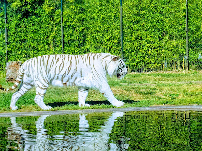 Maia Zoo in Maia, Norte — photo 2 of 5