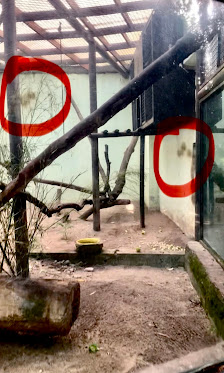 Maia Zoo in Maia, Norte — photo 3 of 5