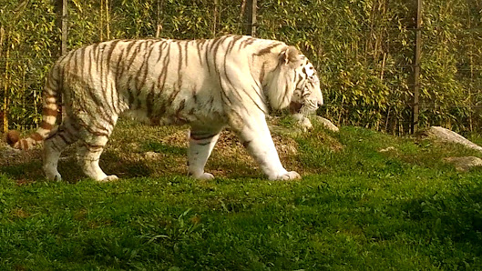 Maia Zoo in Maia, Norte — photo 4 of 5