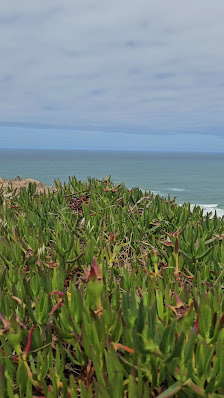 Miradouro da Foz do Arelho in Algarve, Centro — photo 3 of 5