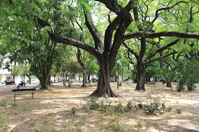 Jardim Nuno Álvares — Attraction in Lisboa, Centro, Portugal — photos, reviews and opening hours