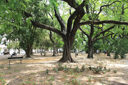 Jardim Nuno Álvares in Lisboa, Centro — photo 2 of 6