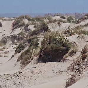 Praia de Peniche de Cima in Peniche, Centro — photo 3 of 7
