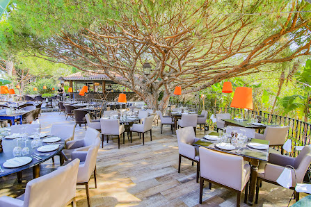 Parrilla Natural in Almancil, Algarve — photo 2 of 11