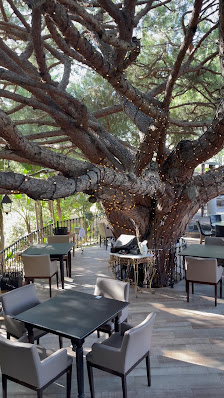 Parrilla Natural in Almancil, Algarve — photo 4 of 11