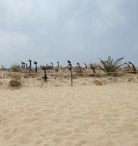 Cemitério das âncoras in Santa Luzia, Algarve — photo 3 of 5