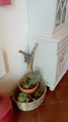 ALMA14 in Estoi, Algarve — photo 4 of 9
