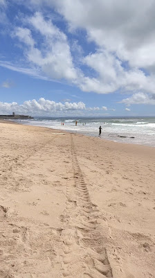 Praia da Ribeira de Cascais in Cascais, Centro — photo 4 of 4
