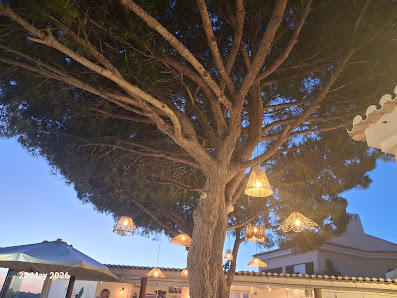 Casa do Rio Restaurante - Alvor in Alvor, Algarve — photo 3 of 12