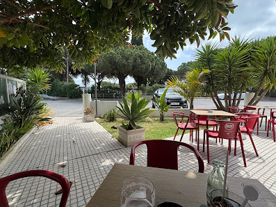 Bar CasaBranca in Albufeira, Algarve — photo 2 of 5