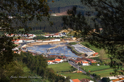 Salinas de Rio Maior — Attraction in Rio, Centro, Portugal — photos, reviews and opening hours