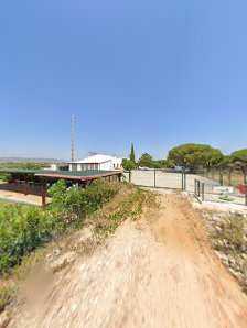 Tribulum in Almancil, Algarve — photo 9 of 9