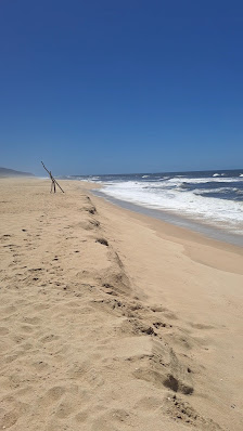 Costinha Beach in Algarve, Norte — photo 3 of 3