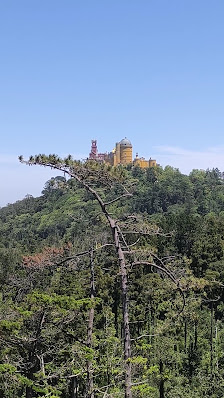 National Palace of Pena in Sintra, Centro — photo 3 of 9