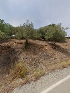 O Monte Velho in Tavira, Algarve — photo 8 of 8