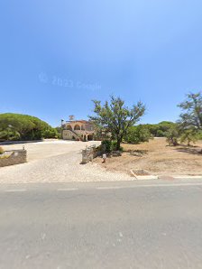 Tipsee Turtles in Almancil, Algarve — photo 9 of 9