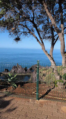 Poças do Governador in Funchal, Centro — photo 3 of 4