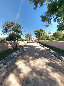 Garden of the Palace of Estoi in Estoi, Algarve — photo 5 of 5