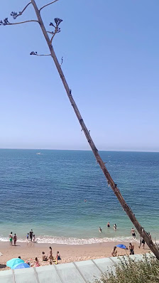 Praia de São Pedro do Estoril in Algarve, Centro — photo 3 of 7