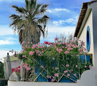 João C Alves Gonçalves in Luz, Algarve — photo 2 of 7