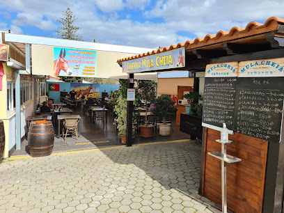 Taberna Mula Cheia