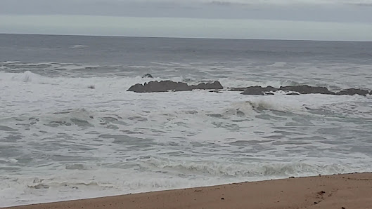 Praia do Fragosinho in Algarve, Norte — photo 4 of 6