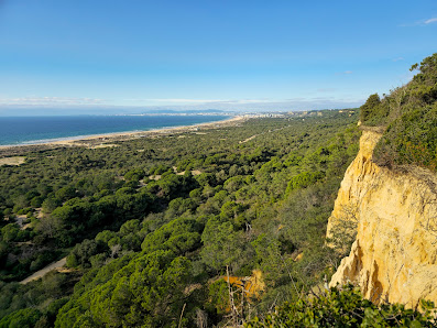 Paisagem Protegida da Arriba Fóssil da Costa de Caparica in Algarve, Centro — photo 2 of 9