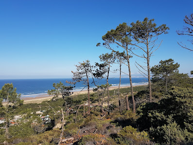 Paisagem Protegida da Arriba Fóssil da Costa de Caparica in Algarve, Centro — photo 6 of 9