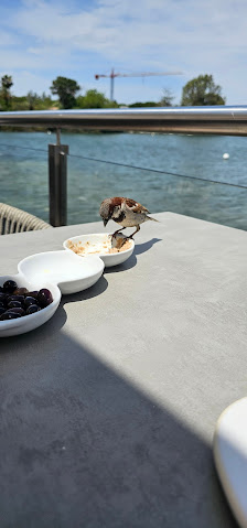 Casa do Lago in Quinta do Lago, Algarve — photo 3 of 12