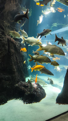 Fluviário de Mora in Cabeção, Centro — photo 3 of 6