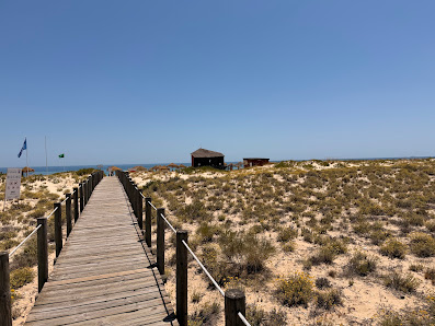 Bar Terra Estreita in Santa Luzia, Algarve — photo 3 of 5