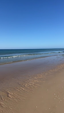 Bar Terra Estreita in Santa Luzia, Algarve — photo 4 of 5