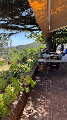 Paraíso da Montanha in Monchique, Algarve — photo 3 of 9
