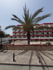 Mambo in Albufeira, Algarve — photo 9 of 9