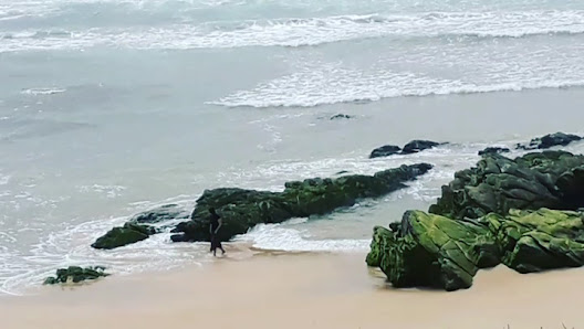 Praia da Oliveirinha in Algarve, Centro — photo 4 of 9