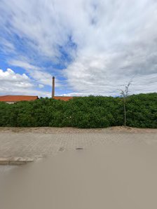 LVL UP in Tavira, Algarve — photo 3 of 4