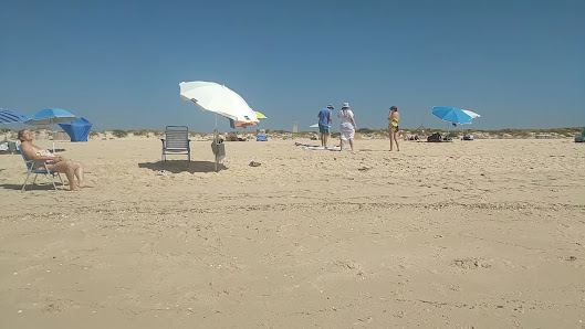O Virgílio in Santa Luzia, Algarve — photo 4 of 8