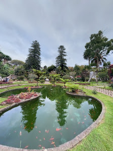 Duke Of Terceira Garden in Angra do, Centro — photo 6 of 6