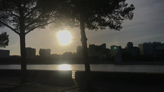Parque das Nações in Lisboa, Centro — photo 4 of 5
