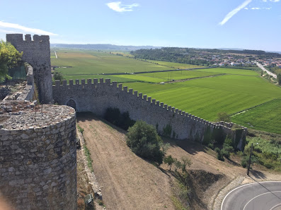 Castle of Montemor-o-Velho in Montemor, Norte — photo 6 of 8