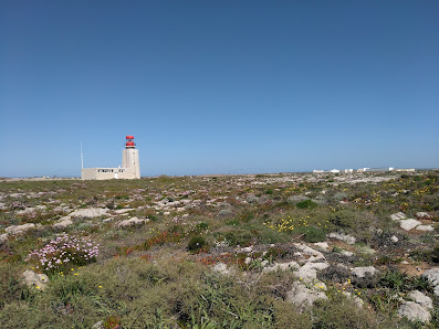 Sagres Fortress in Sagres, Algarve — photo 5 of 11