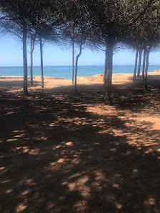 Praia de Loulé Velho in Almancil, Algarve — photo 3 of 6